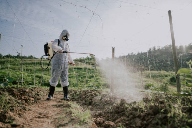 Best Mosquito Control Services  in Magnolia, OH