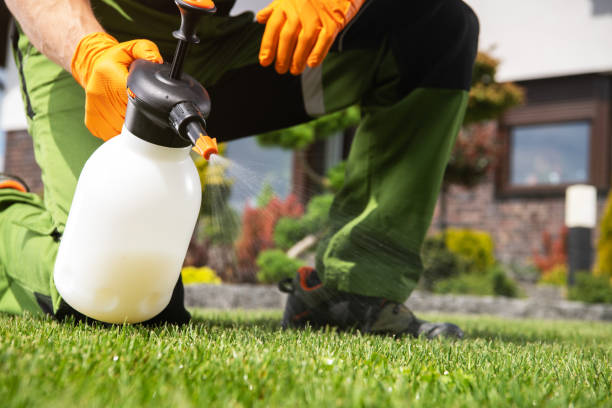 Best Local Pest Control Services  in Magnolia, OH