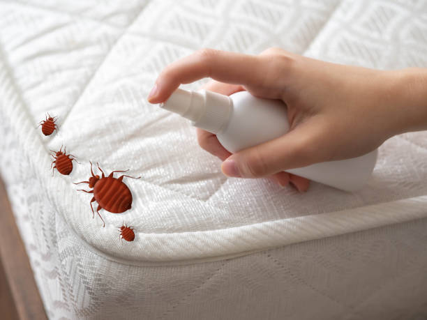 Best Residential Pest Control  in Magnolia, OH