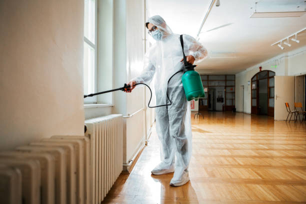 Best Ant Control Services  in Magnolia, OH